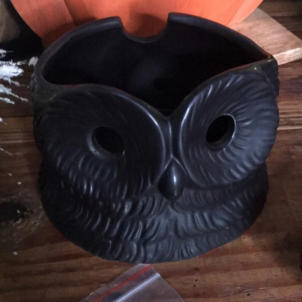 Crate&Barrel X PATCH NYC Collaboration Whimsical Black Owl Incense Burner 🦉